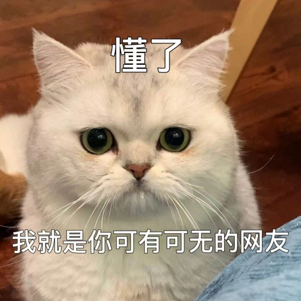 猫猫撒娇表情包x男朋友扛不住的撒娇语录