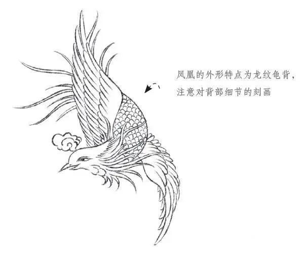 图文教程教你画一只白描凤凰祥瑞美好