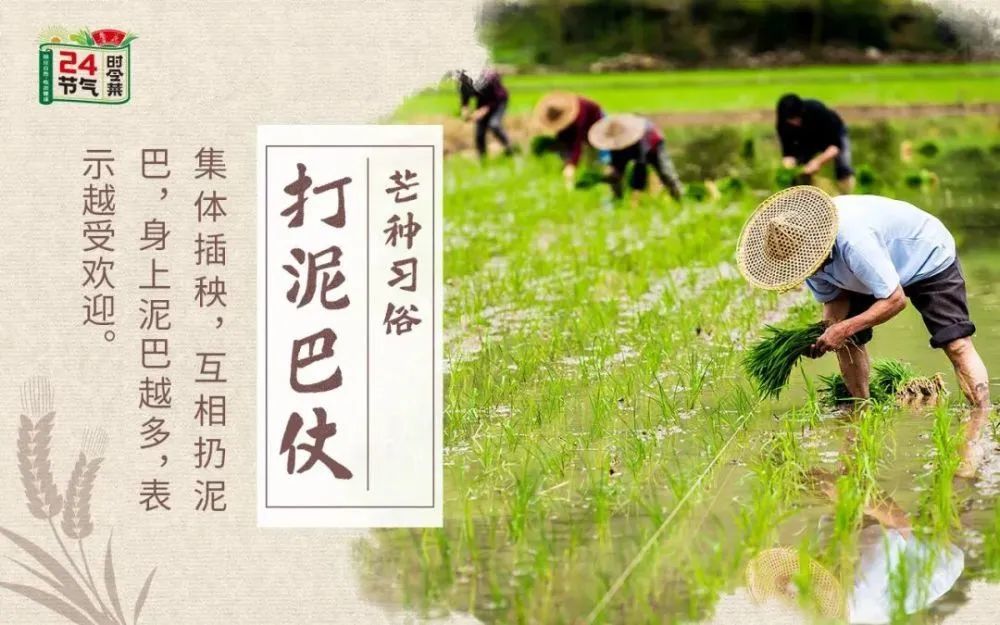 打泥巴仗贵州东南部一带的侗族青年男女,每年芒种前后都要举办打泥巴