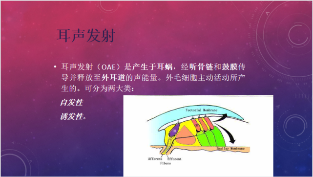 耳声发射是反应耳蜗外毛细胞功能的一项检查,听力筛查主要使用耳声