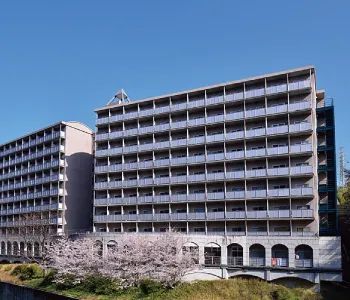 日本帝京大学,帝京平成大学国内直招报名开始!第一次国内校考招生!