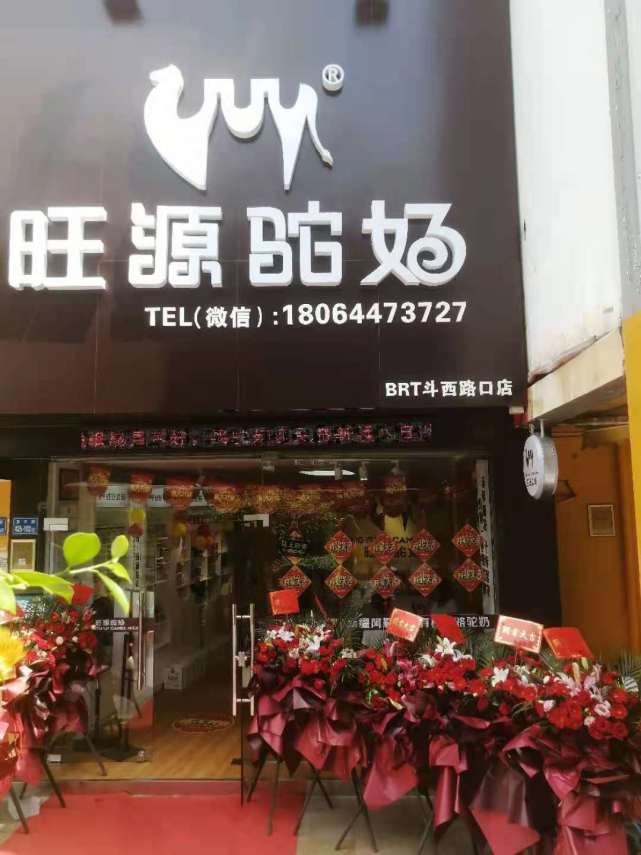 你知道骆驼奶怎么分辨真假吗？教你识别假驼奶骗局