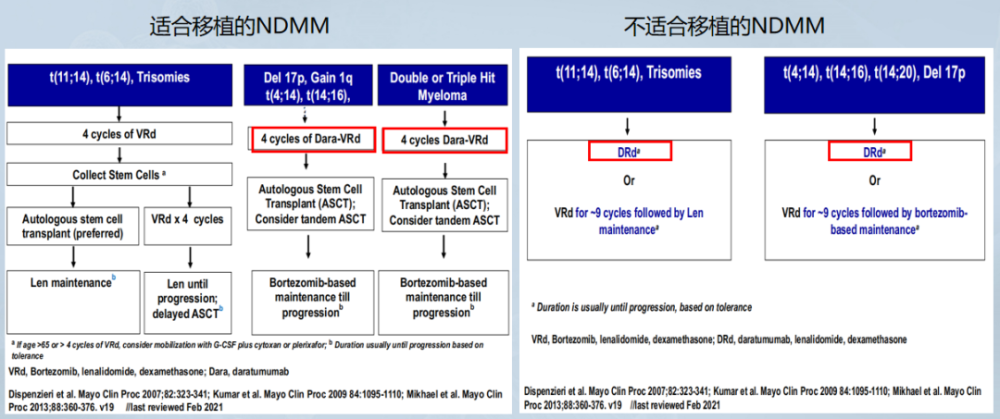 推荐dara-vrd(达雷妥尤单抗/硼替佐米/来那度胺/地塞米松)方案,治疗4