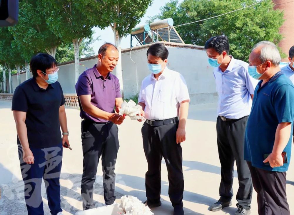 县长苗润涛一行先后来到王良庄,河北金诚种业进行实地督导调研.