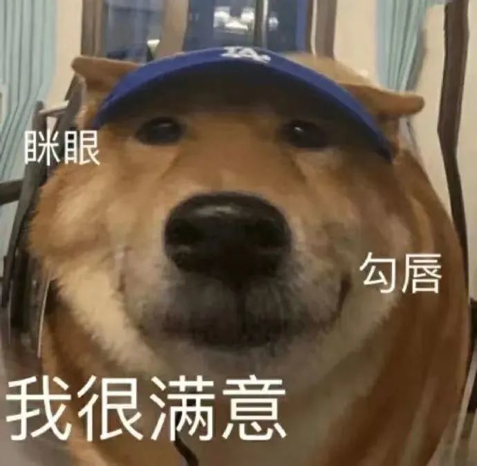 修勾柴犬表情包