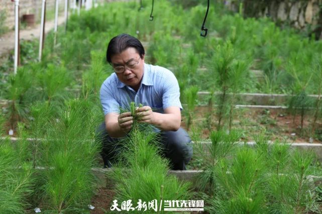 不忘初心 执著追求为山区服务丁贵杰是内蒙古人,大学毕业后是在林业