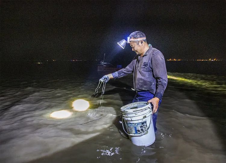 白国璋跟着赶海人照望潮