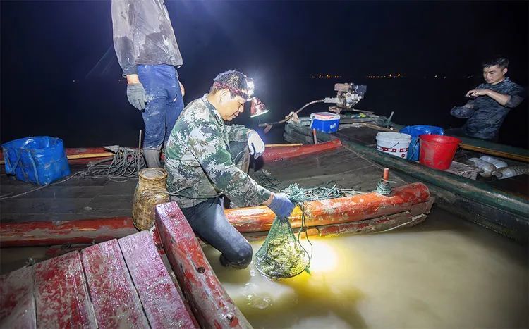 白国璋跟着赶海人照望潮