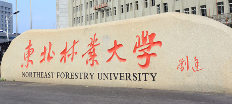 东北林业大学为啥能自费进入211一位牛人