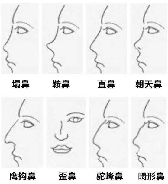 麻衣神相入门基础知识