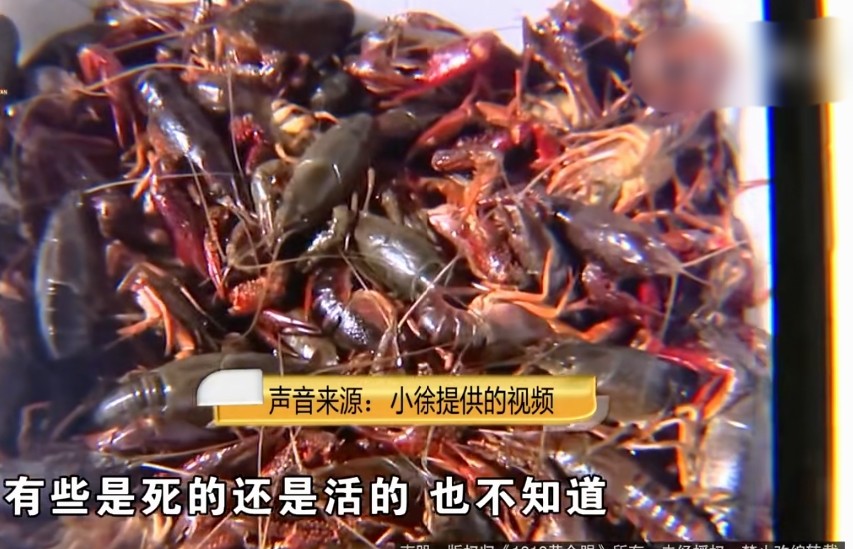杭州女子深夜点3斤小龙虾吃半夜拉肚子熬到第二天叫了救护车