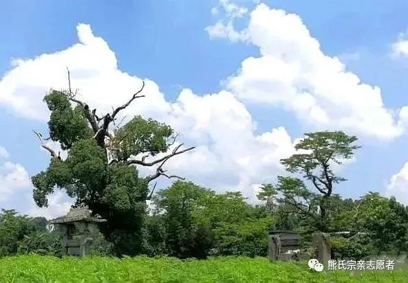 宜丰芳溪熊家屋场熊氏宗祠均为文物保护单位