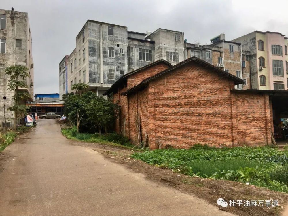 的最新街景图桂平油麻镇桂油厂社岭路口一起来看一下企鹅号桂平街坊网
