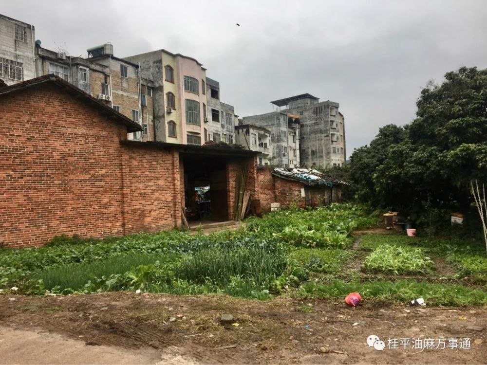 的最新街景图桂平油麻镇桂油厂社岭路口一起来看一下企鹅号桂平街坊网
