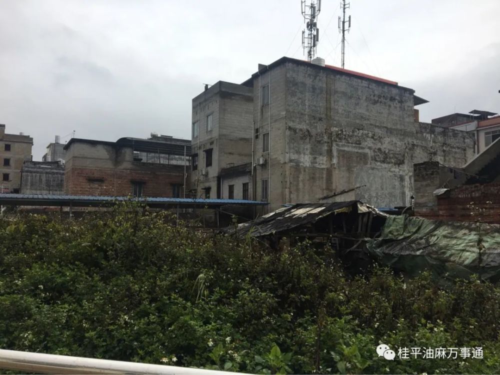 的最新街景图桂平油麻镇桂油厂社岭路口一起来看一下企鹅号桂平街坊网