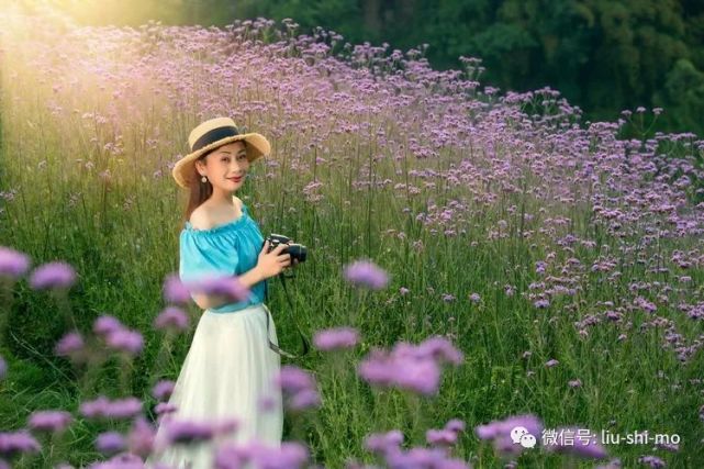 马鞭草花海人像怎么拍?摄影技巧学起来,拍照景美人更美