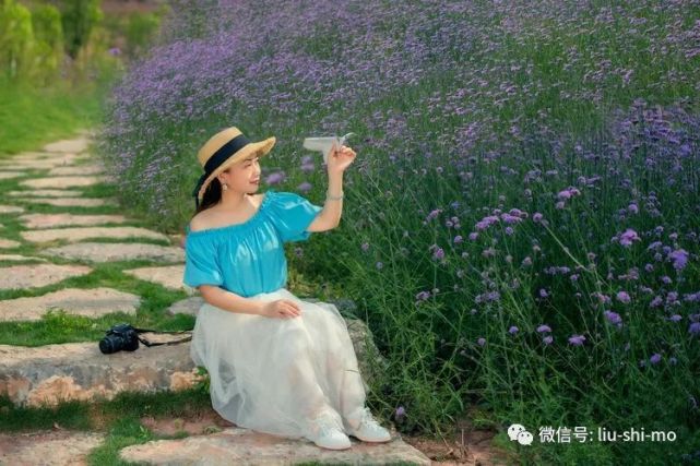 图9三,拍照姿势马鞭草的花朵通常会比较高.