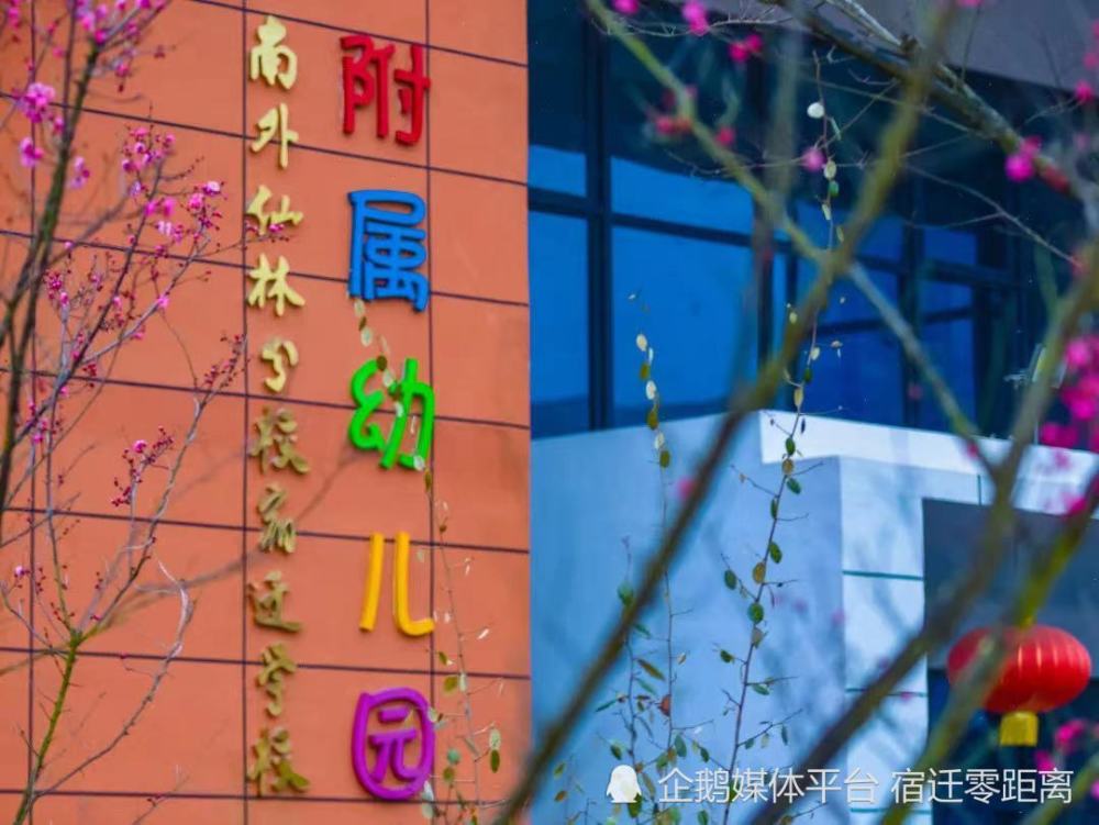 南外仙林分校宿迁学校附属幼儿园2022年招生简章