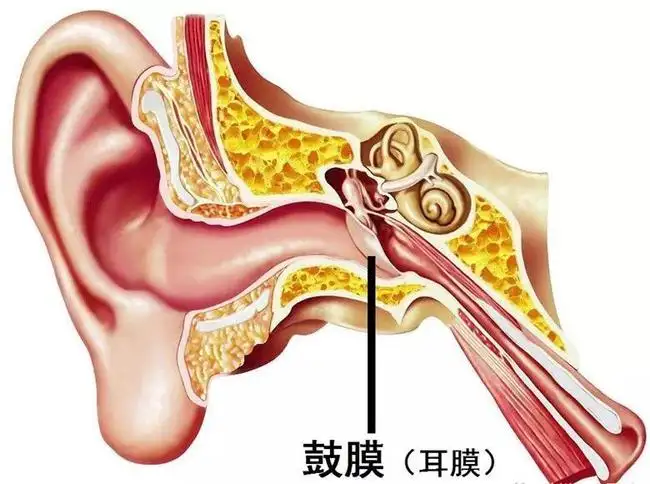 鼓膜穿孔不治的话会怎么样成都民生耳鼻喉医院告诉你危害有哪些国家