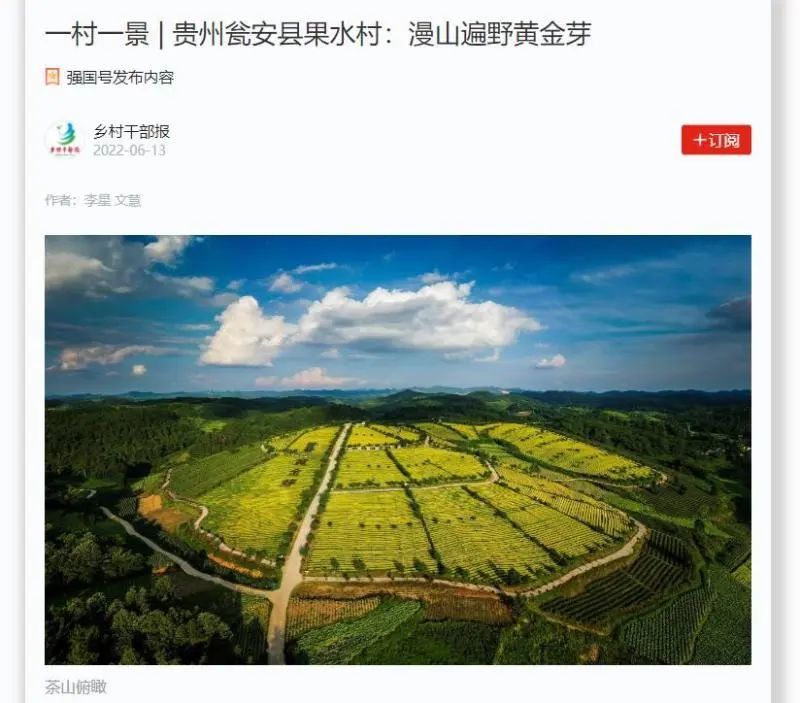 6月13日,学习强国刊发《一村一景 贵州瓮安县果水村:漫山遍野黄金芽