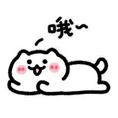 表情包:线条小猫表情包