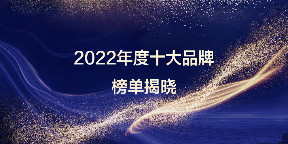 2022年度头盔行业十大品牌