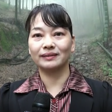 曹碧凤永安市林业局竹业开发办主任我自己的田地就是单单这个竹业就