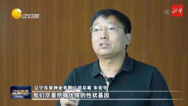 聚焦辽宁企业家|朱宏宇:振兴民族种业 从源头确保国家粮食安全