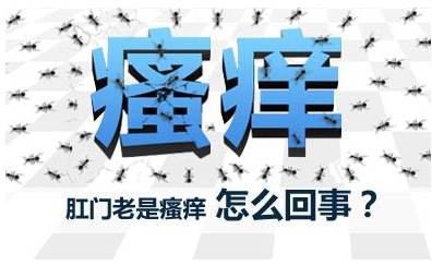 2,肛门皮肤病如肛门湿疹,神经性皮炎,癣,汗腺炎等,粪便附于肛门皱襞内