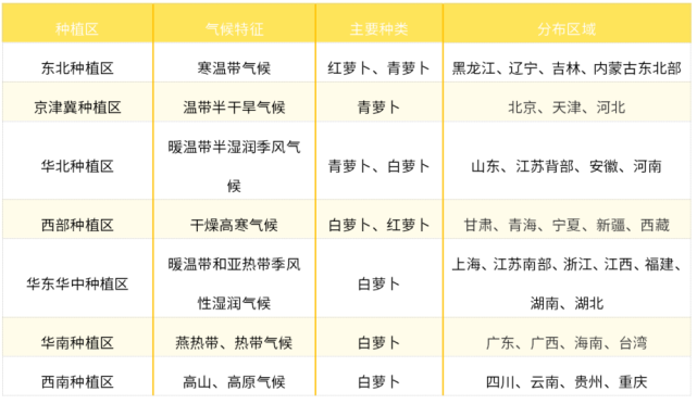 我国萝卜产业发展简析