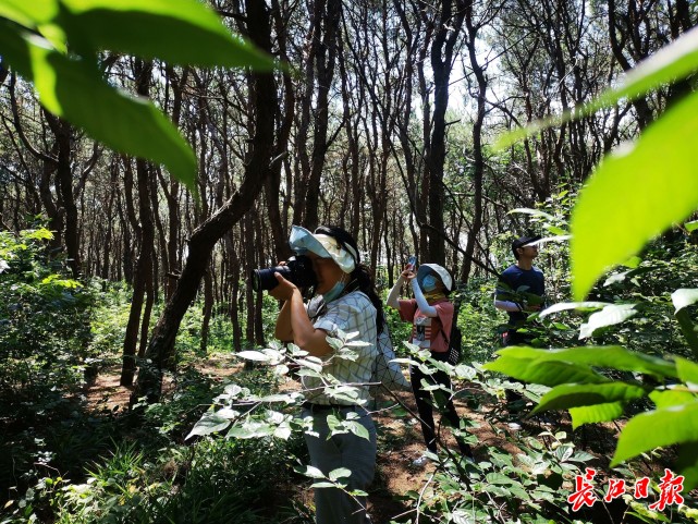 摸清藏龙岛国家湿地公园的家底给生物来了一次人口普查