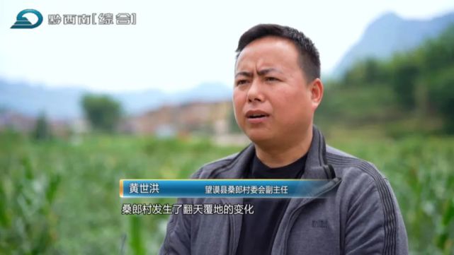 (望谟县桑郎镇农业服务中心主任 韦国长:桑郎村产业有芒果,蜂糖李