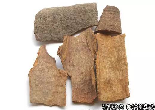 每天学一味中药—肉桂
