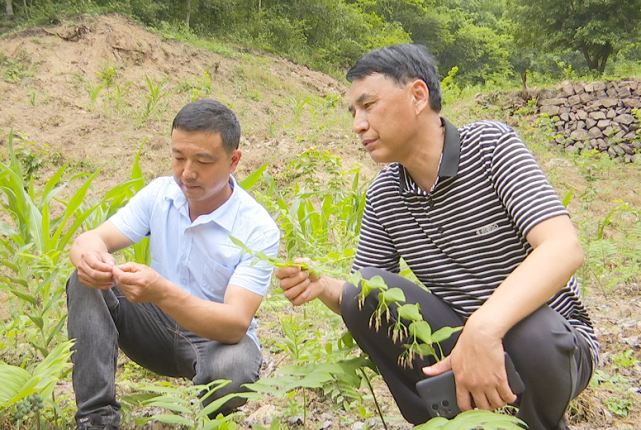 乡村振兴实干家 村民致富带头人