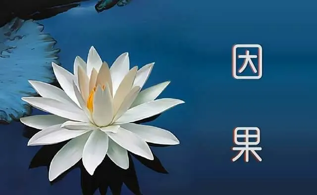 东方的随笔你悟透了因果关系定律了吗
