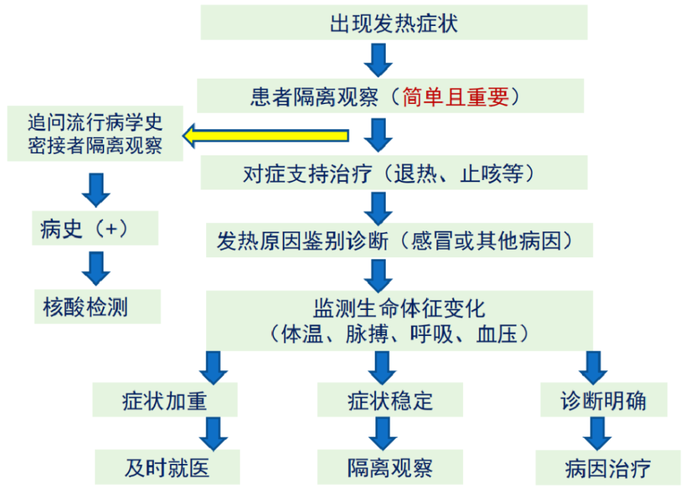 梁志欣教授不明原因发热的临床诊疗策略cacp2022