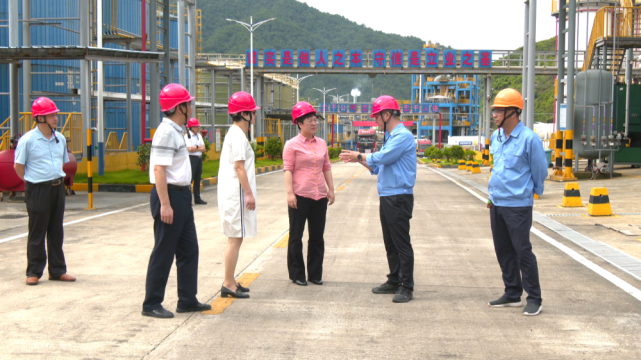 6月22日,市政府副市长林菁一行深入清流县调研职业教育及文旅工作.