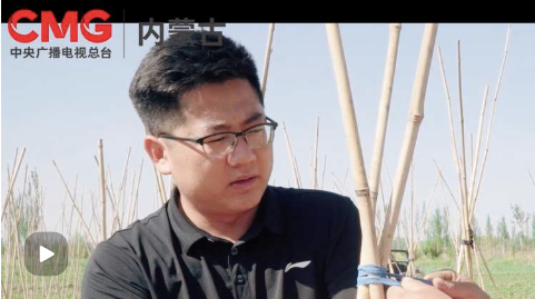 巴彥淖爾9人入圍,快來投票支持他們!(圖5)