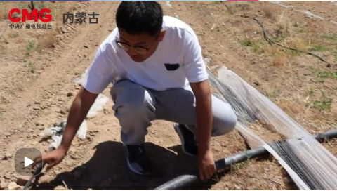 巴彥淖爾9人入圍,快來投票支持他們!(圖7)