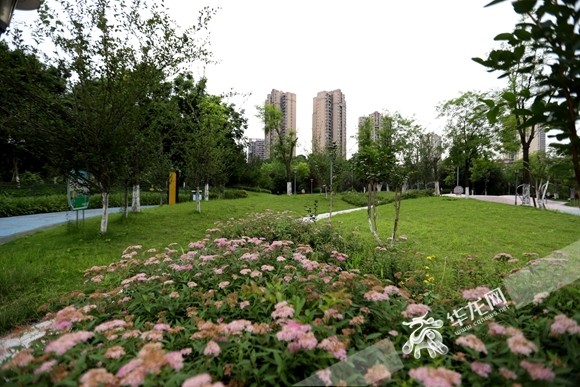 重庆以爱的名义口袋公园兜起群众微幸福