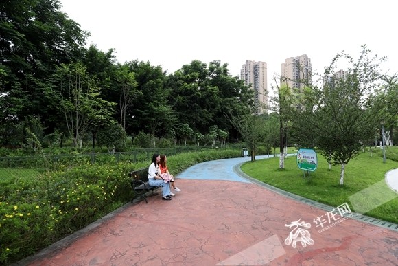 重庆以爱的名义口袋公园兜起群众微幸福