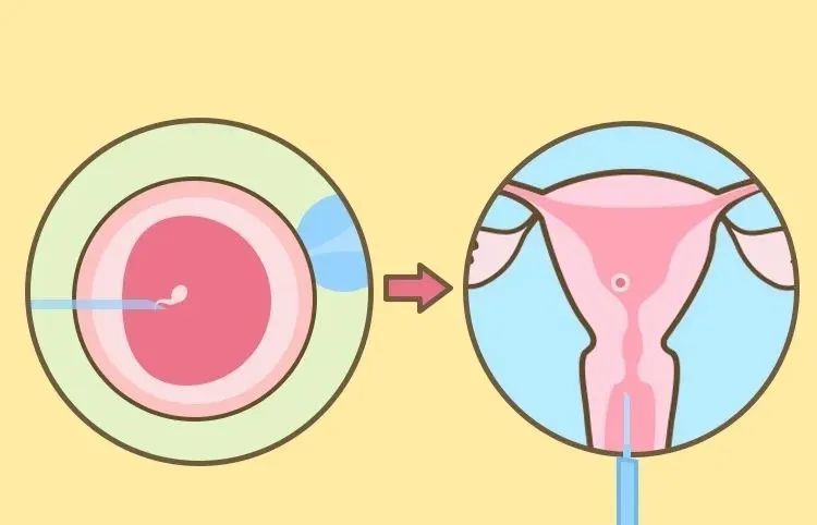 胚胎着床时女性是不是有一些特殊反应来一探究竟吧