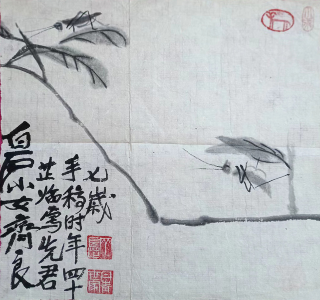 师父齐白石小女齐良芷临齐白石手稿,中国齐白石书画院院长汤发周说