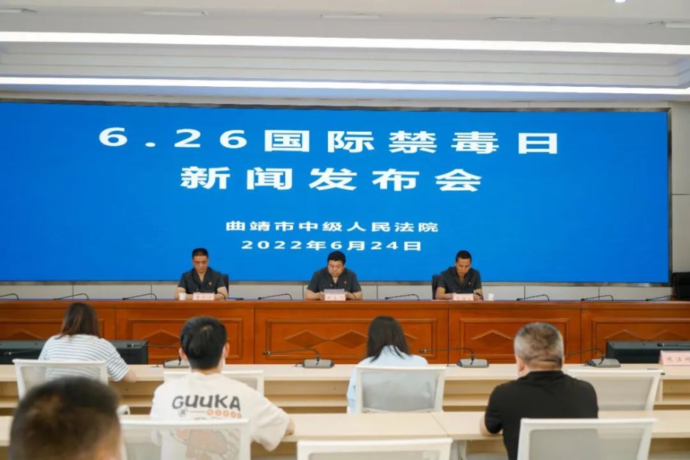 曲靖中院發布5起毒品犯罪典型案例(圖1)