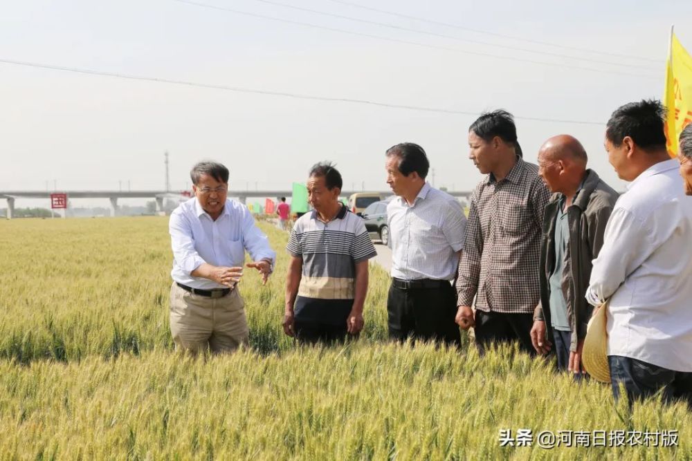 中国农科院作物科学研究所研究员李立会,国家小麦改良中心主任何中虎