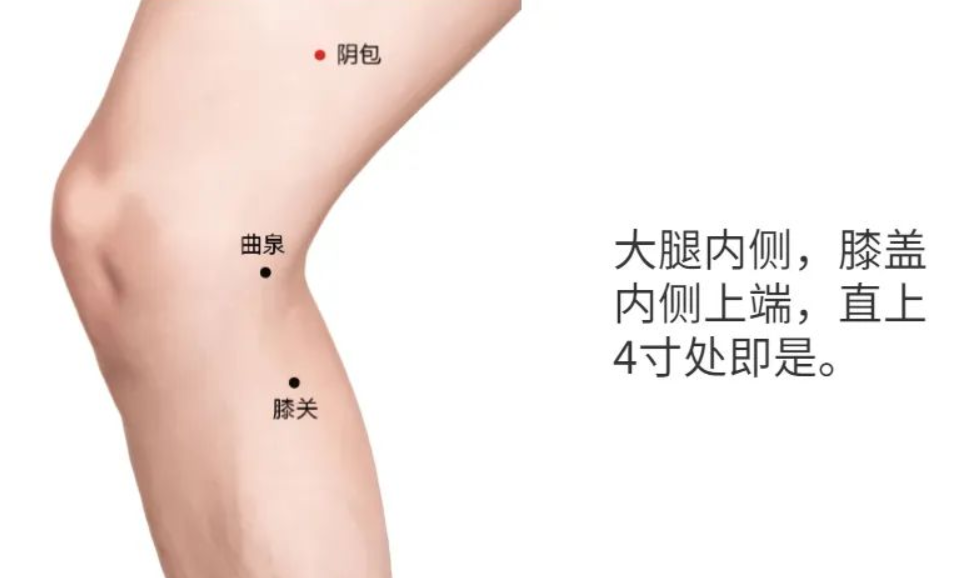 阴包穴 腾讯网