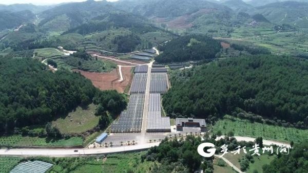 貴州銅仁著力推進(jìn)森林進(jìn)城、森林圍城(圖1)