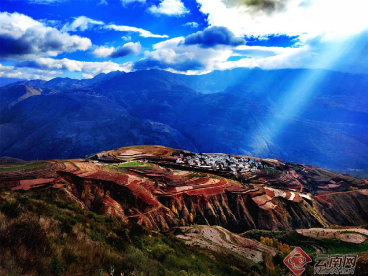 中起舞染遍每一寸土地七彩的调色盘在山川沃土间肆意挥洒云岭大地上