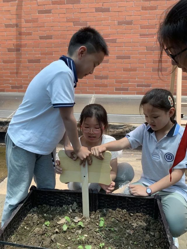 东马塍芳草碧绿茂盛,繁花满目,活水穿流其间,静静地润泽农田.