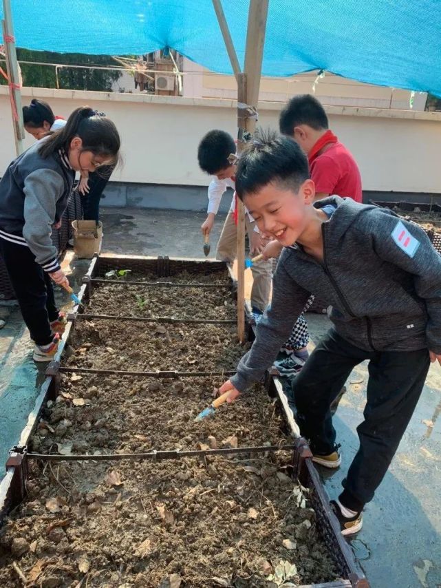 东马塍芳草碧绿茂盛,繁花满目,活水穿流其间,静静地润泽农田.